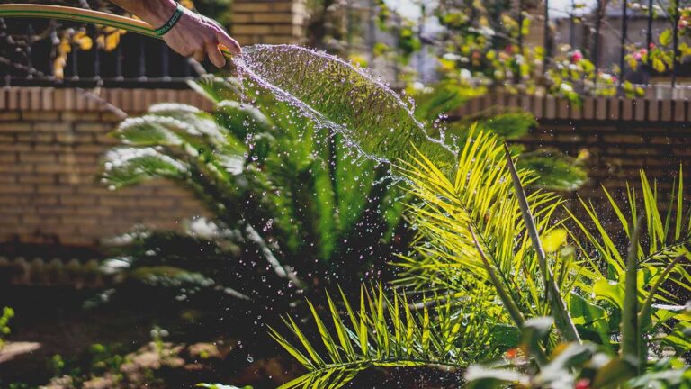 5 garden tips for the week starting May 27