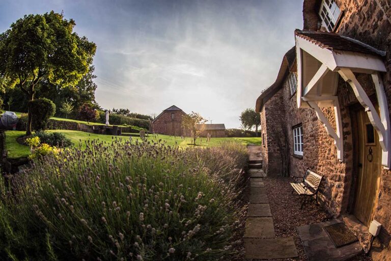 Weeds are a gardener’s top enemy, but here’s how to fight back