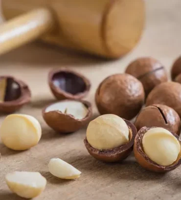 Macadamia Nuts Roasted with Shell