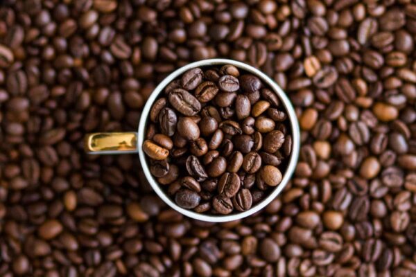 Robusta Coffee
