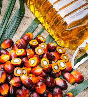 Refined Palm Oil