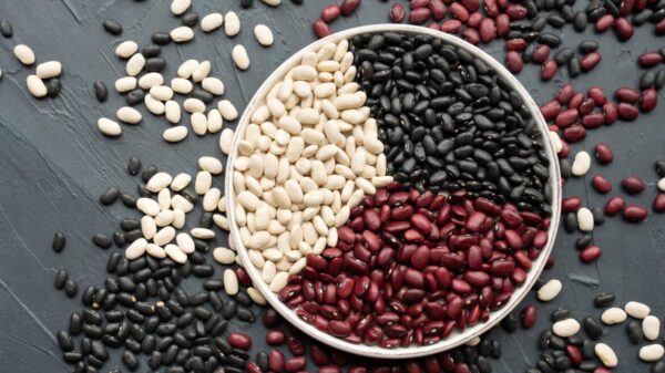 Kidney Beans
