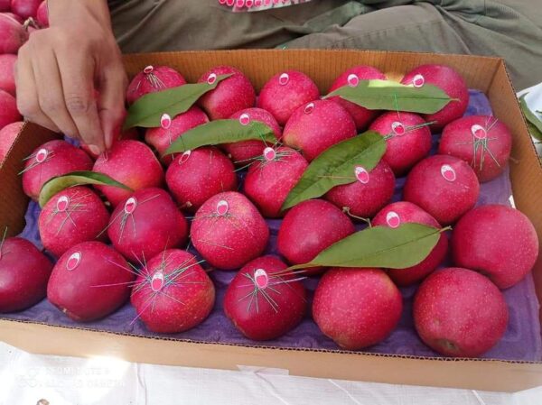 Fresh Gala Red Apples