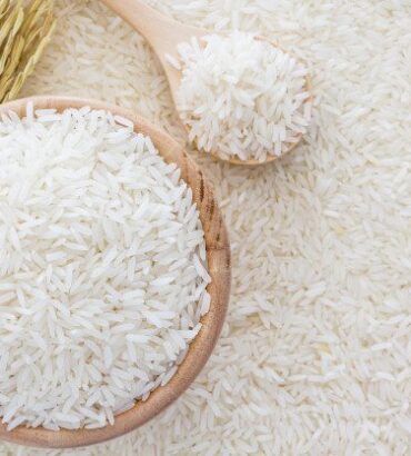 Rice Grains