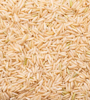Germany Rice