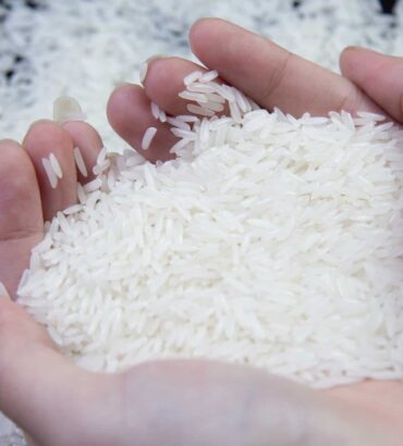 Vietnam Rice