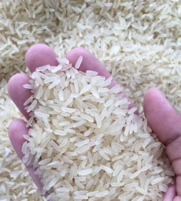Perfume Rice