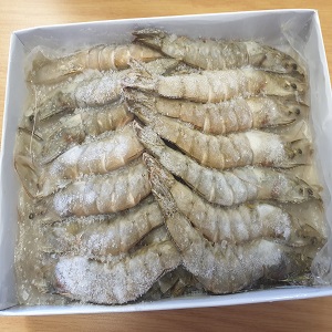Frozen Prawns Vannamei