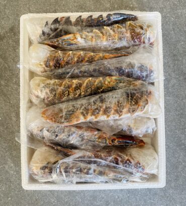 Spiny lobster Tails | Large | Frozen Box