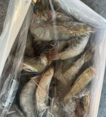 King Prawns