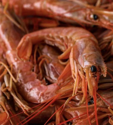 Prawn Lover Entree