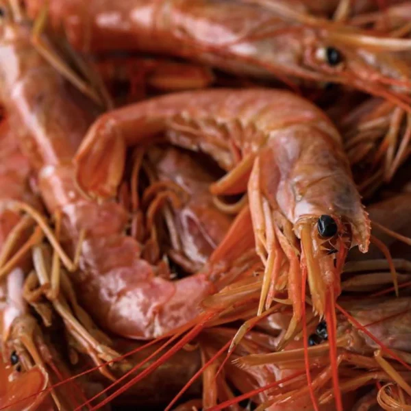 Prawn Lover Entree